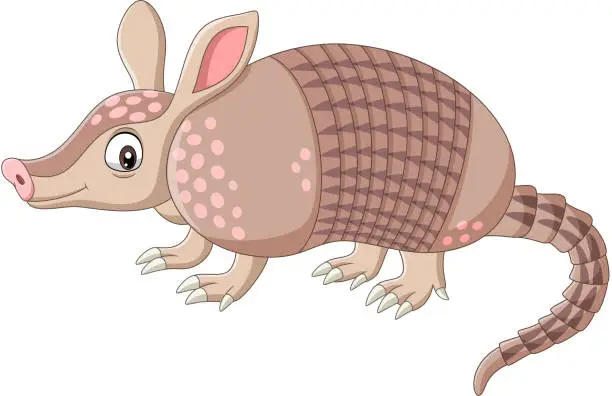 Vector illustration of Cartoon armadillo on white background