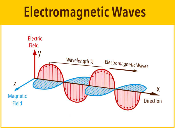 ilustrações de stock, clip art, desenhos animados e ícones de electromagnetic wave structure and parameters, vector illustration diagram with wavelength, amplitude, frequency, speed and wave types - electromagnetic