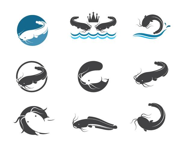 catfish vector icon illustration design catfish vector icon illustration design template catfish stock illustrations