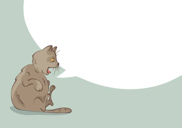 ilustraciones, imágenes clip art, dibujos animados e iconos de stock de gato sorprendido. - joky