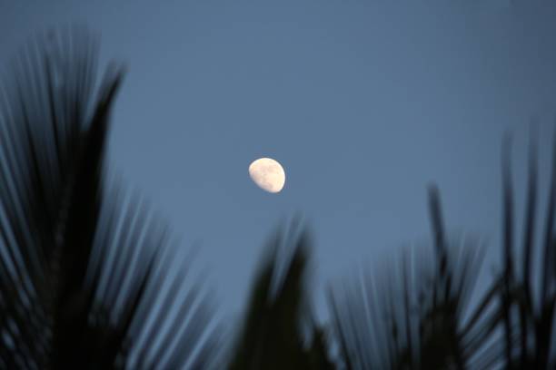 istock A waxing gibbous moon 1194633961