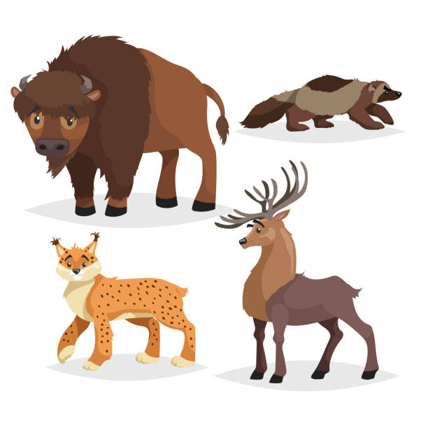 Naughty Buffalo Stock Photos, Pictures & Royalty-Free Images - iStock Naughty Buffalo Stock Photos, Pictures & Royalty-Free Images - iStock