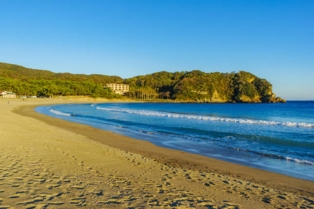 istock Yumigahama Beach 1194639115