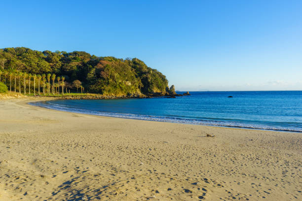 istock Yumigahama Beach 1194639928