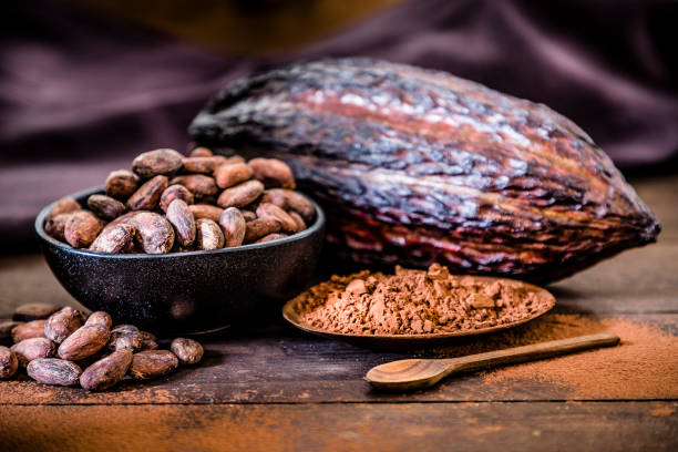 istock Cocoa powder, cocoa beans and cocoa pod 1194640337
