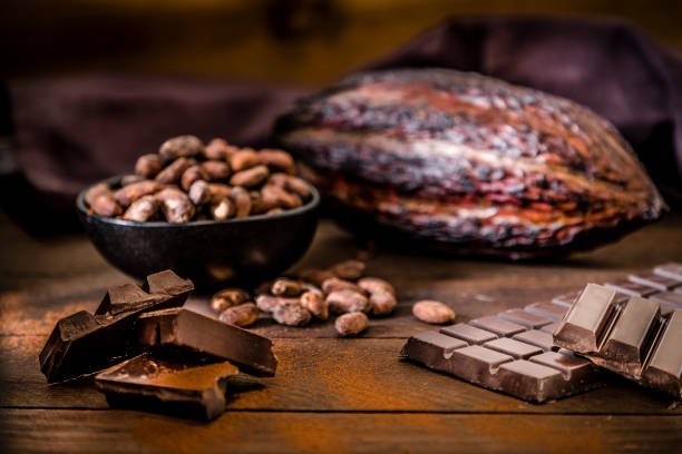 istock Chocolate bar, cocoa powder, cocoa beans and cocoa pod 1194640598