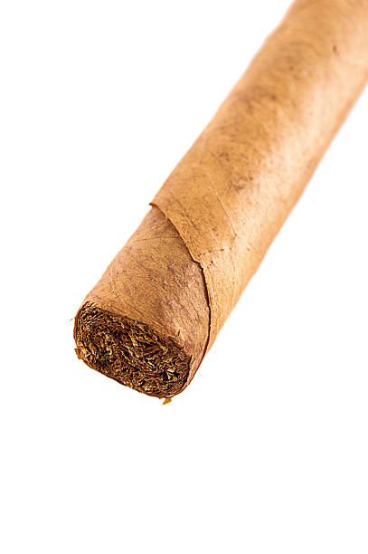 istock Part of brown cigar isolated 119464283