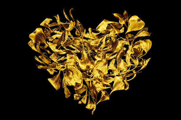 Golden heart made of flower petals on black background isolated closeup, decorative gold heart shape ornament, art floral pattern, yellow metallic shiny design element, love symbol, valentine day sign corazón dorado hecho de pétalos de flores sobre fondo negro cerrado aislado, adorno decorativo de la forma del corazón de oro, patrón floral del arte, o de diseño brillante metálico amarillo, símbolo del amor, signo del día de san valentín