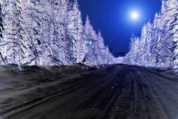 Bright moon illuminates the mysterious night forest. Spruce forest in winter