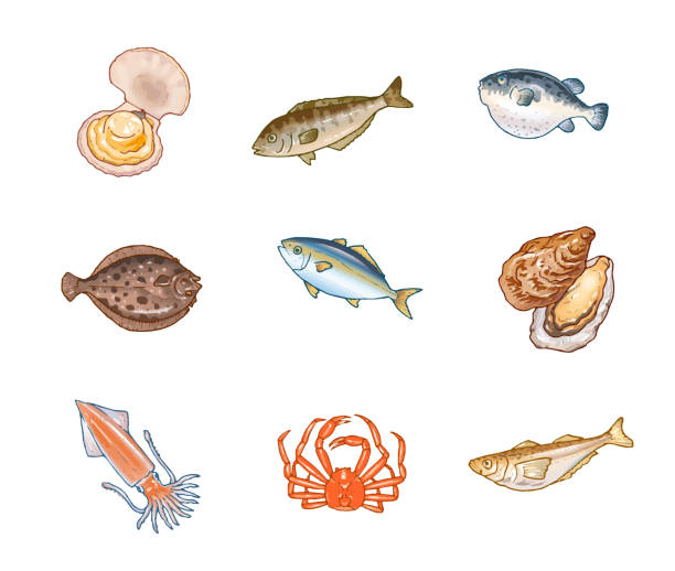 다양한 해산물 9 종류 수채화 - 식품 가공 공장 일러스트 stock illustrations