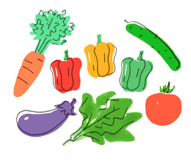 illustrations, cliparts, dessins animés et icônes de 6 sortes de légumes colorés - fruits et légumes