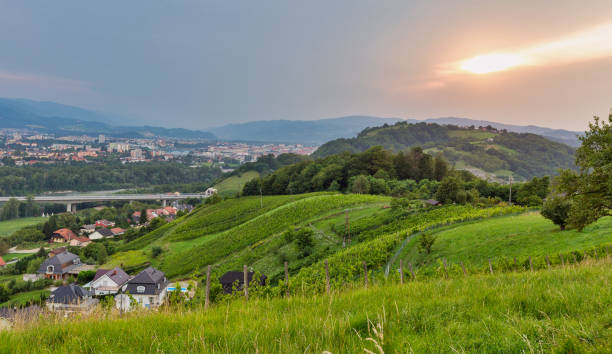 istock Summer landscape with Maribor cityscape, Slovenia. 1194646111