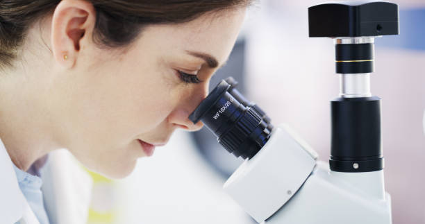 istock We have a new sample to scrutinise today 1194647476