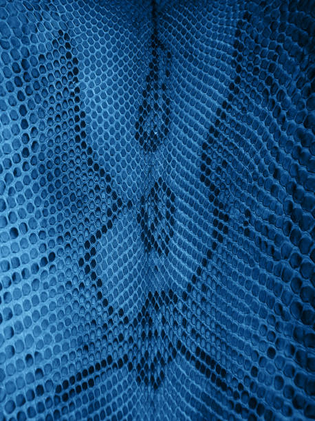 istock snake skin pattern toned classic blue color 1194648496