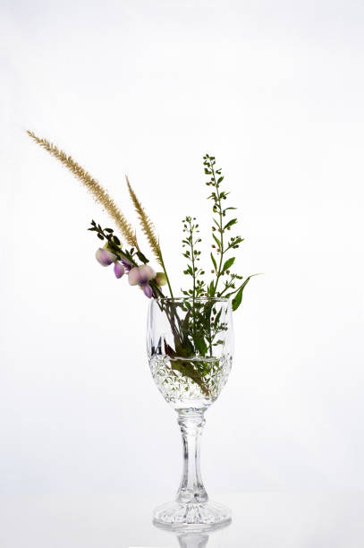 istock luxury drinking glass with wild flower on white background 1194649257