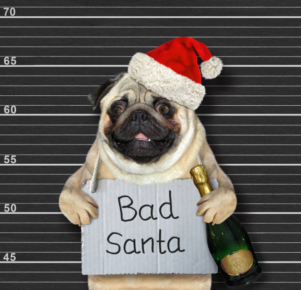 istock Dog bad Santa in prison 2 1194652808