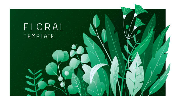 Green floral banner Trendy floral decoration for multiple purposes. 
Fully editable vectors. plant part stock illustrations