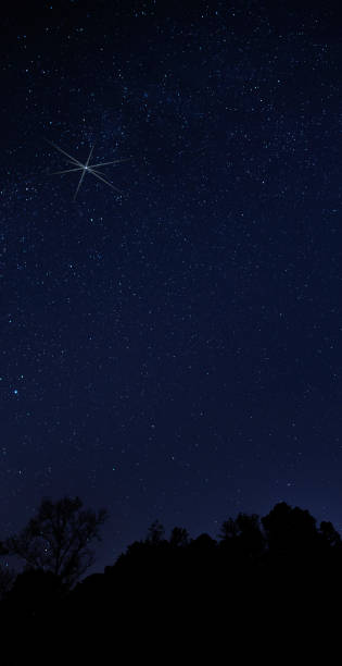 istock Christmas star rising over a dark forest 1194656901