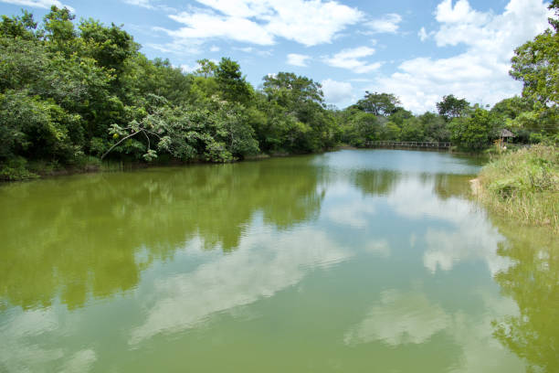istock Natural Landscape in Bonito, Brazil 1194657031