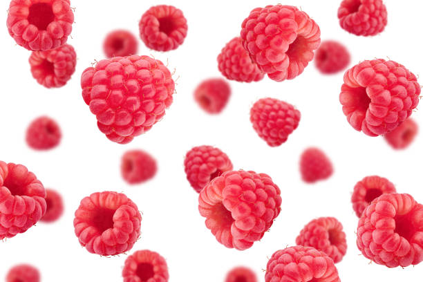 falling raspberry isolated on white background, selective focus - framboesa imagens e fotografias de stock
