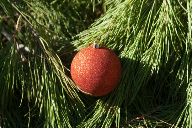 istock Christmas ball among pine needles 1194666333