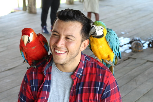 Indigenous man interacting with macaw birds.