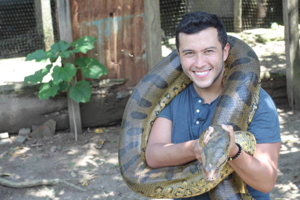 istock Indigenous man holding giant snake 1194667027