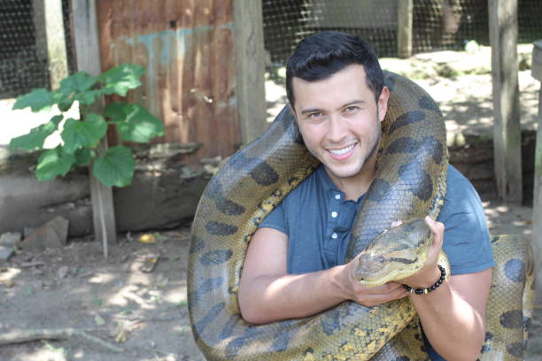 istock Exotic man with his gigantic Anaconda 1194667030