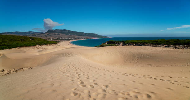 песчаная дюна пляжа болония, провинция кадис, андалусия - andalusia beach cadiz spain стоковые фото и изображения