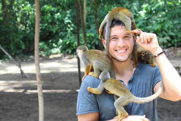 istock Beautiful monkeys interacting with a human 1194668453