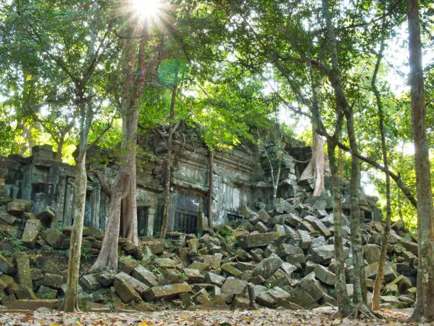Photo of Masonry being moved by banyan trees growing in temple ruins at the unrestored Khmer temple of Beng Mealea, around 50km west of Siem Reap