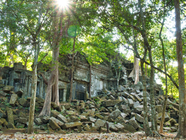 masonry being moved by banyan trees growing in temple ruins at the unrestored khmer temple of beng mealea, around 50km west of siem reap - angkor wat buddhism cambodia tourism imagens e fotografias de stock