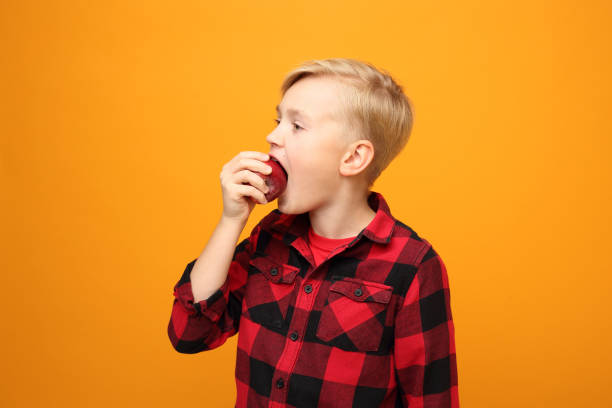 child  boy eats a red apple, healthy child diet. - lunch box lunch red apple imagens e fotografias de stock