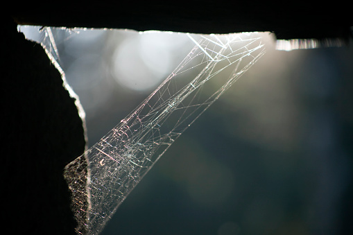Spider web, backlit. Corner of an old doorway detail. Ribeira Sacra, Lugo province, Galicia, Spain.