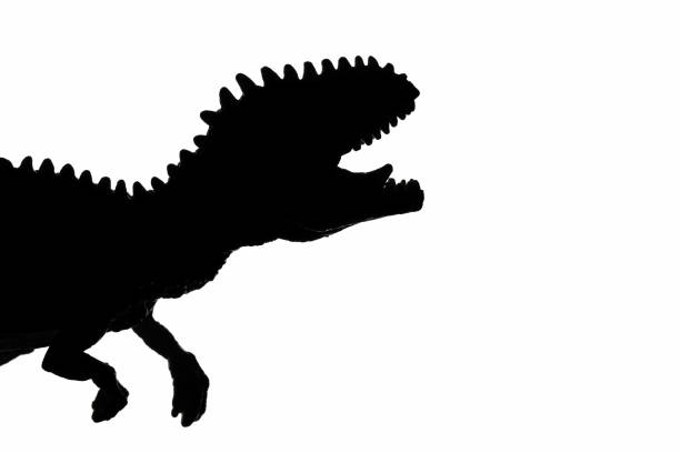 istock Tyrannosaurus Rex silhouette 1194671484