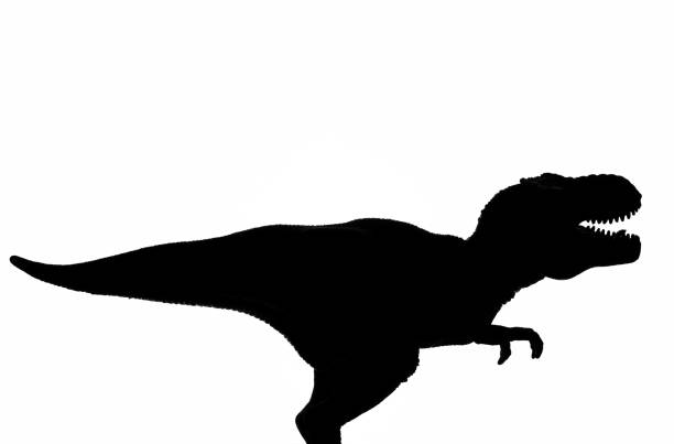 istock Tyrannosaurus Rex silhouette 1194672589