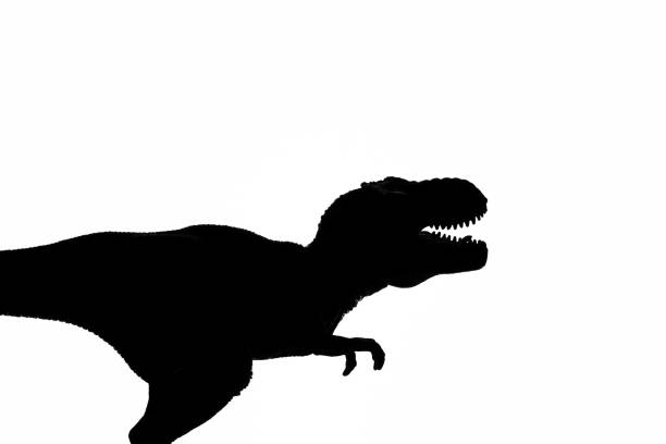 istock Tyrannosaurus Rex silhouette 1194672728