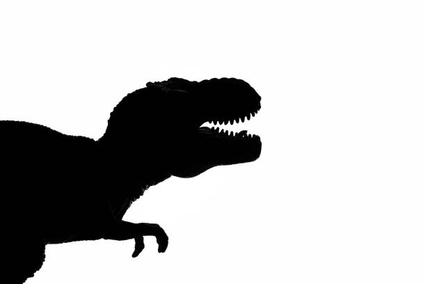 Tyrannosaurus Rex silhouette Tyrannosaurus Rex silhouette jurassic photos stock pictures, royalty-free photos & images