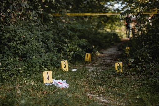 Close-up of numbered evidence in cordoned off woodland area crime scene with police officer and dog in background.