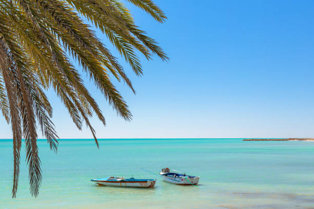 two boats on the ocean and palm tree leaves