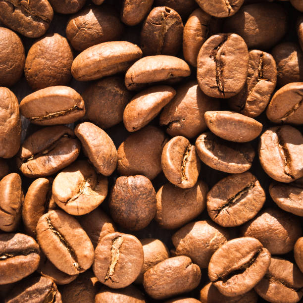 Roasted coffee beans