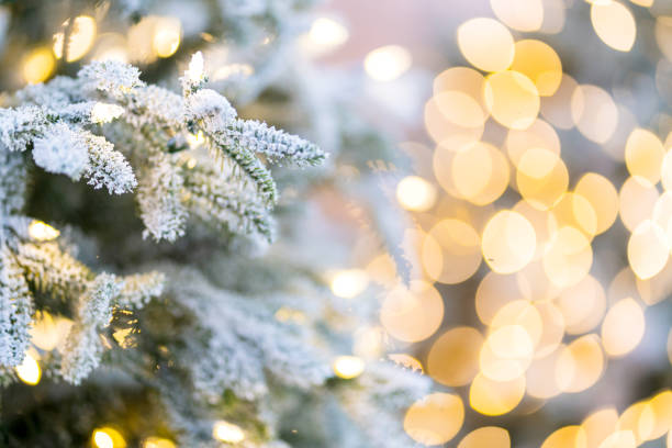 istock close up christmas tree with snow and light decorating with blur bokeh background 1194676945