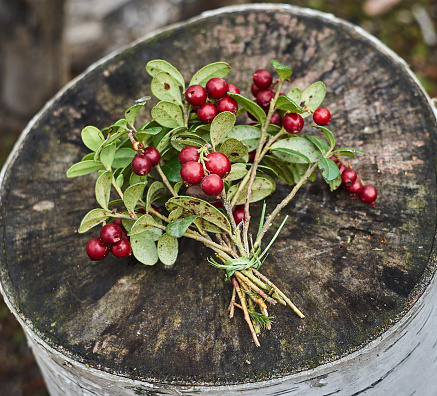 A bouquet of cranberry berries lying on a wooden surface.