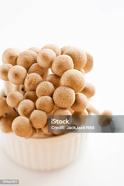 Hypsizigus Marmoreus Stock Photo - Download Image Now - Autumn, Brown, Clamshell Mushroom