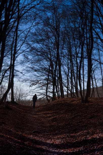 istock Young man with backpack traveling in the mountains. Automn forest 1194679481