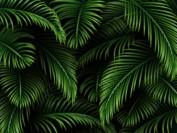 istock Tropical palm leaves background. Exotic dark green template for greetings, invitation, cosmetics or spa products, summer seasonal cards. Vector. 1194682022