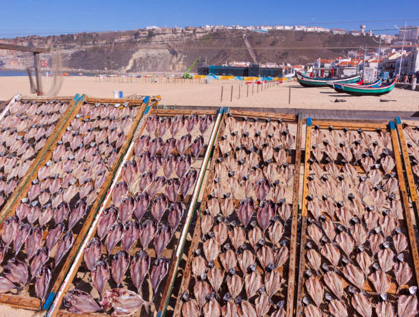 Drying Fish in Nazare, United Kingdom Drying Fish in Nazare, Portugal nazare surf stock pictures, royalty-free photos & images