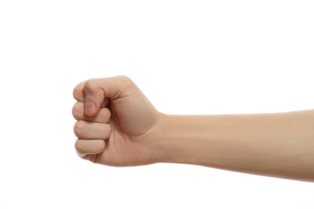 Human Hand, Fist, Punching, Front View, Cut Out