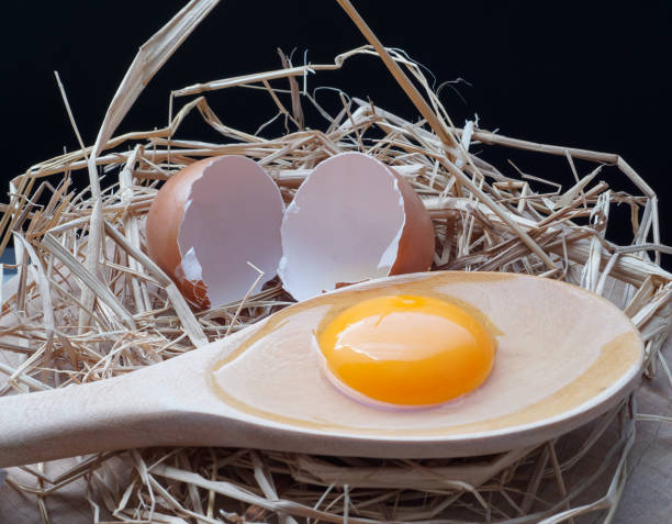 istock organic eggs resting in hay sits on a Chopping Wood 1194687514