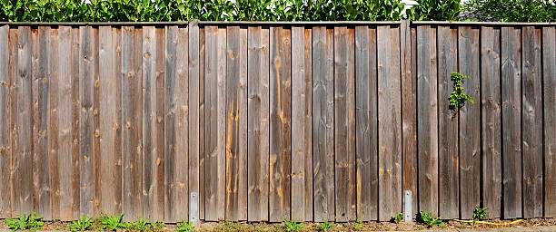 istock Fence with wooden boards with grass 119468784